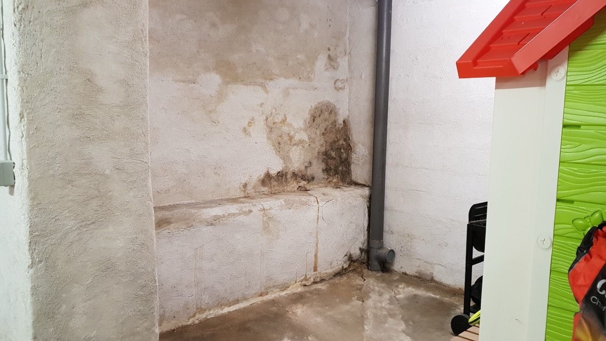 Infiltrations d'eau - Expertise humidité à Perpignan